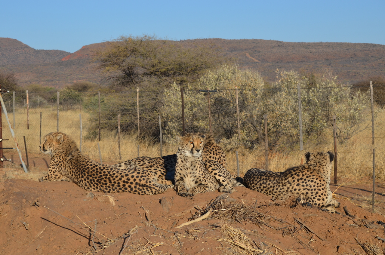 [5147] 2016_06_23_07_29_48_Africa_NIKON_D5100_IMG__04725.jpg