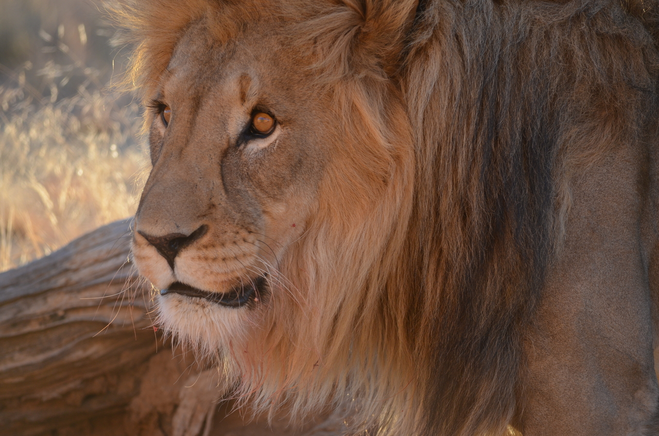 [5229] 2016_06_23_08_03_07_Africa_NIKON_D5100_IMG__04763.jpg