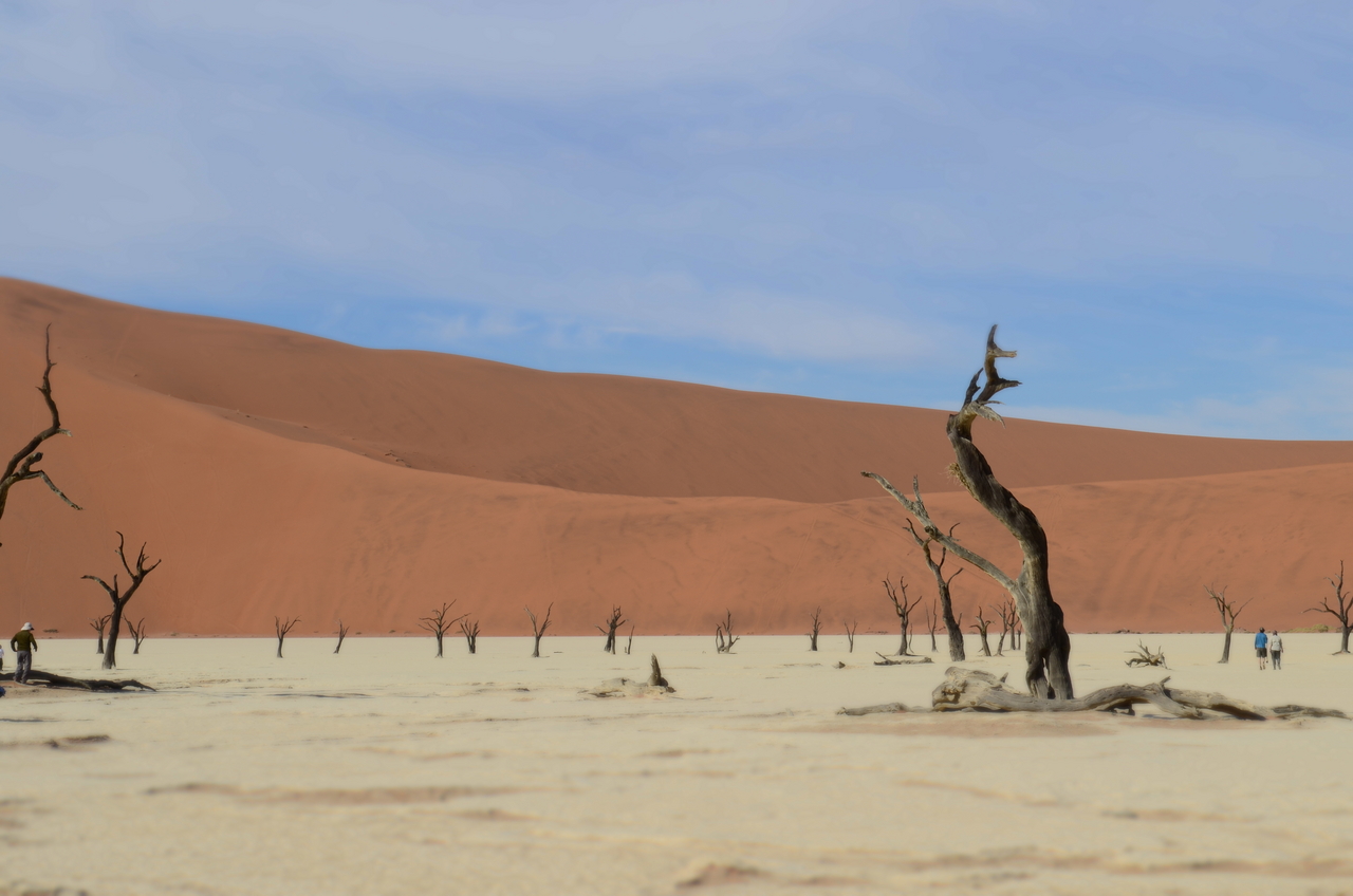 [14504] 2016_06_25_01_03_01_Africa_NIKON_D5100_IMG__04879.jpg