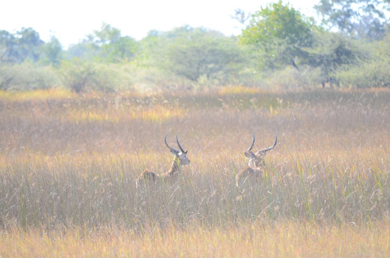 [17422] 2016_06_28_00_04_32_Africa_NIKON_D5100_IMG__04994.jpg