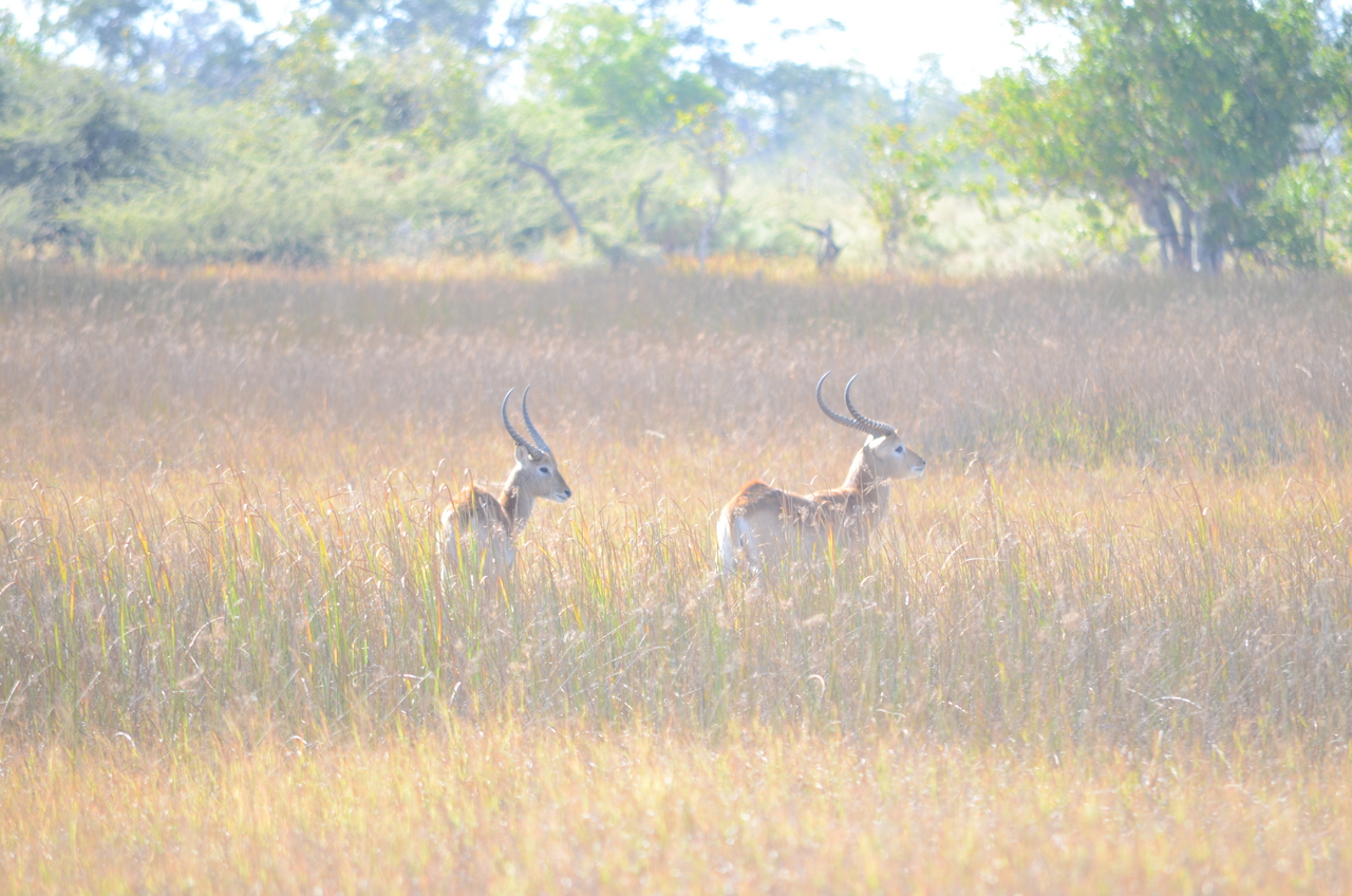 [17426] 2016_06_28_00_05_11_Africa_NIKON_D5100_IMG__04996.jpg