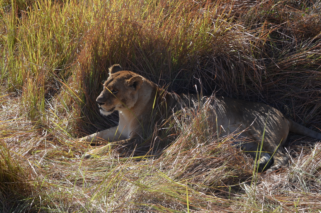 [17451] 2016_06_28_00_28_18_Africa_NIKON_D5100_IMG__00387.jpg
