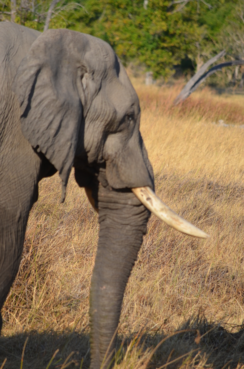 [22323] 2016_06_29_22_39_45_Africa_NIKON_D5100_IMG__05155.jpg