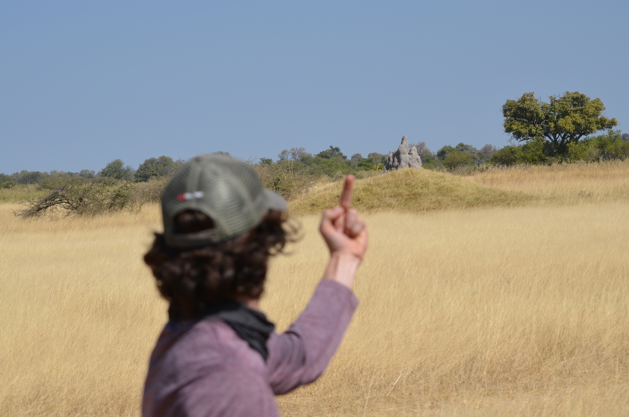 [23159] 2016_06_30_02_34_30_Africa_NIKON_D5100_IMG__00645.jpg