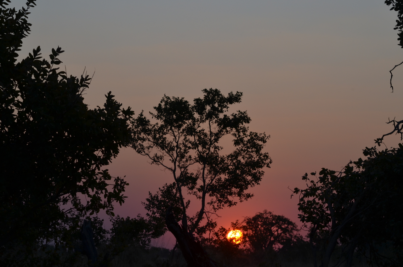 [24650] 2016_06_30_08_03_34_Africa_NIKON_D5100_IMG__05367.jpg