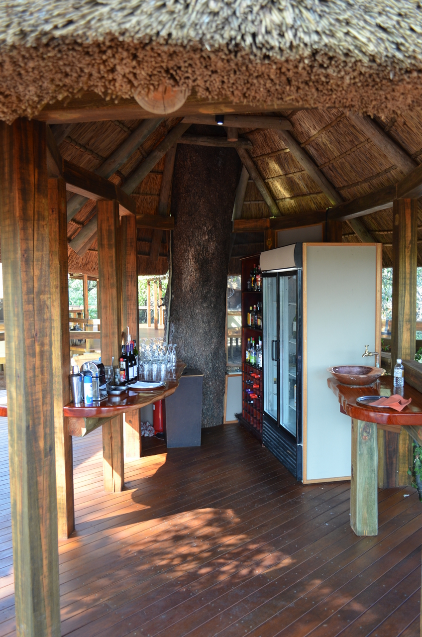 [26712] 2016_07_01_04_35_07_Africa_NIKON_D5100_IMG__00768.jpg
