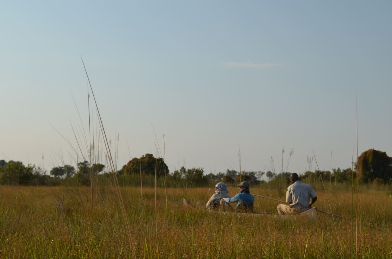 [26787] 2016_07_01_06_38_37_Africa_NIKON_D5100_IMG__05427.jpg