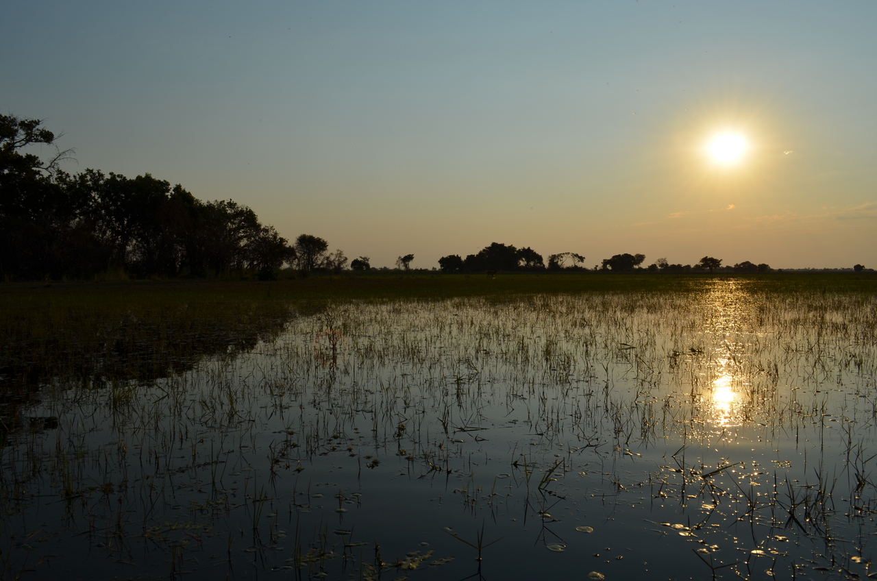 [26869] 2016_07_01_07_22_30_Africa_NIKON_D5100_IMG__05468.jpg