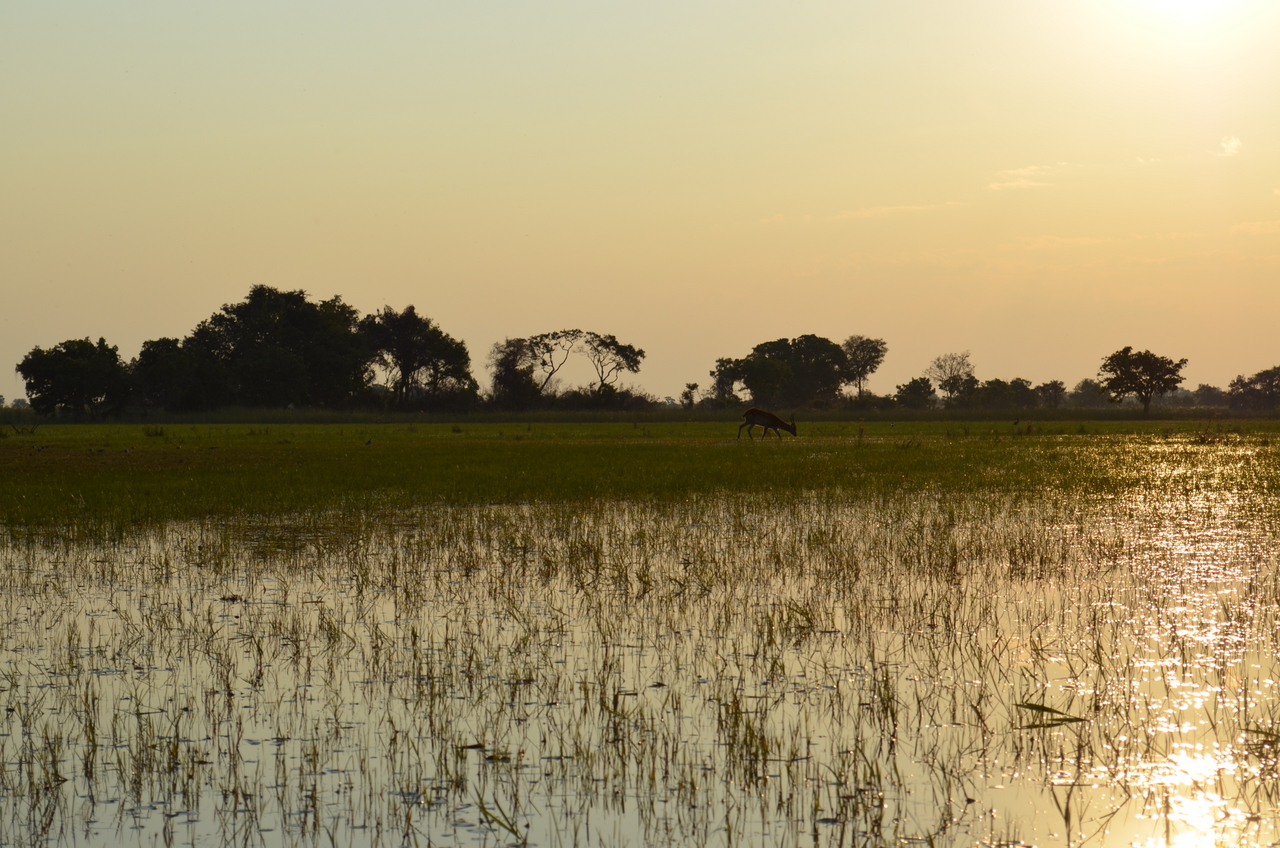 [26876] 2016_07_01_07_23_04_Africa_NIKON_D5100_IMG__00850.jpg