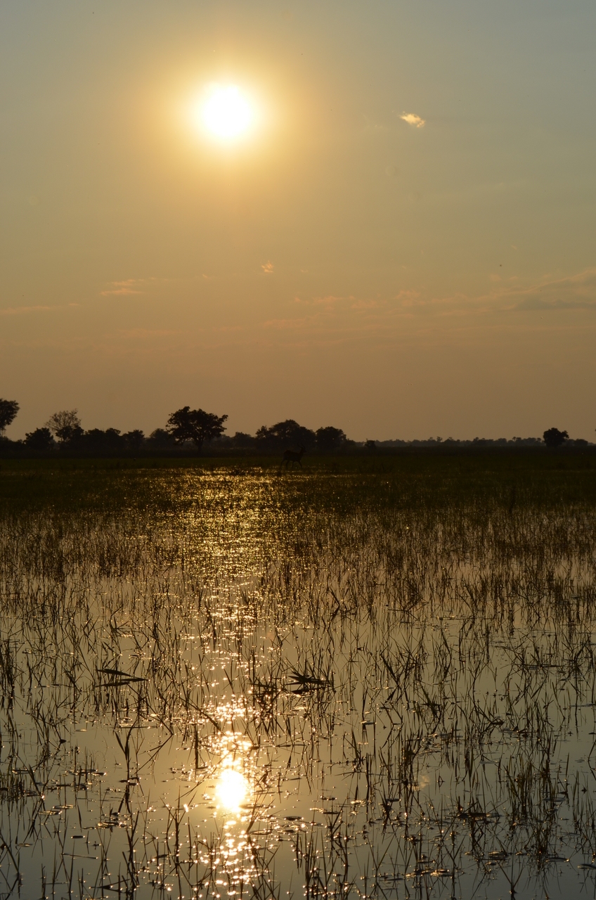 [26882] 2016_07_01_07_23_32_Africa_NIKON_D5100_IMG__00853.jpg