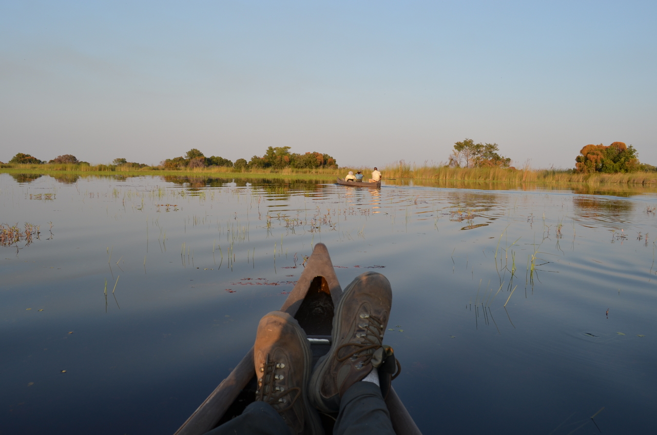 [26892] 2016_07_01_07_26_00_Africa_NIKON_D5100_IMG__00858.jpg