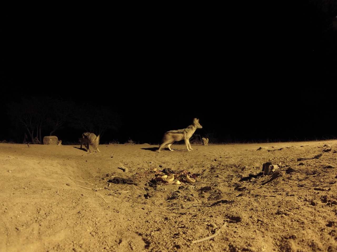[3832] 2016_06_22_20_45_18_Africa_Hero3-Silver_Edition_IMG__00025.jpg