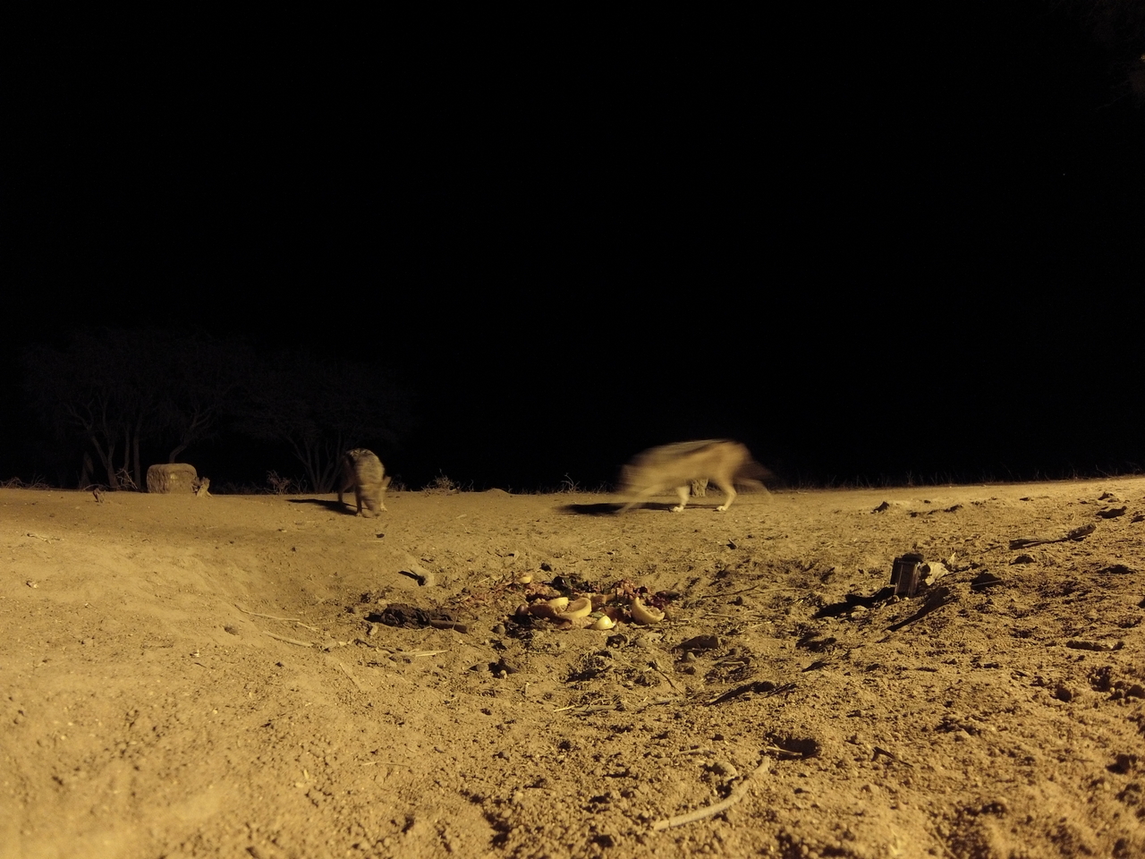 [3866] 2016_06_22_20_46_12_Africa_Hero3-Silver_Edition_IMG__00042.jpg