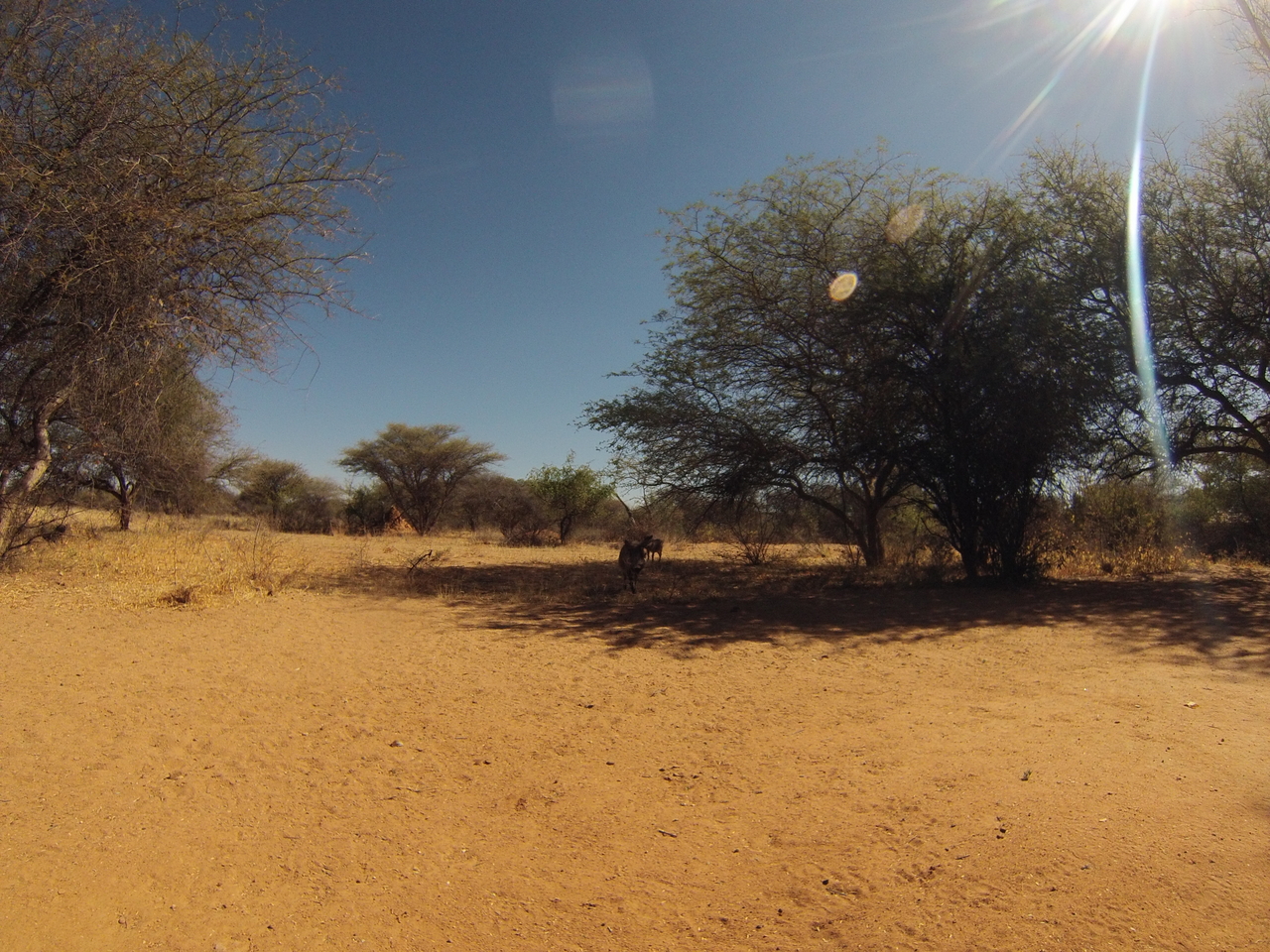 [8807] 2016_06_23_12_07_27_Africa_Hero3-Silver_Edition_IMG__00785.jpg