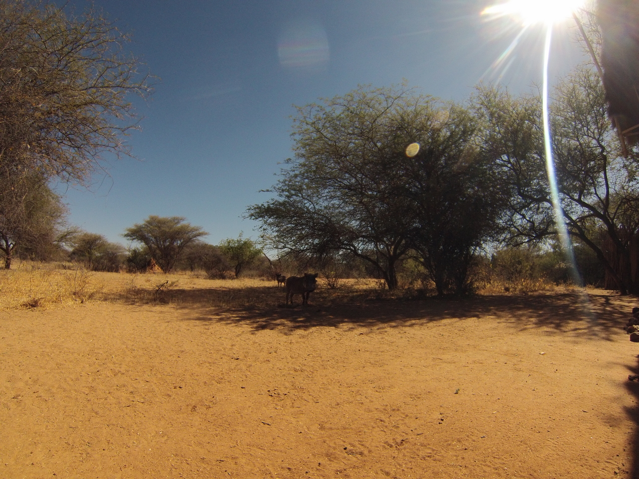[8811] 2016_06_23_12_07_31_Africa_Hero3-Silver_Edition_IMG__00787.jpg