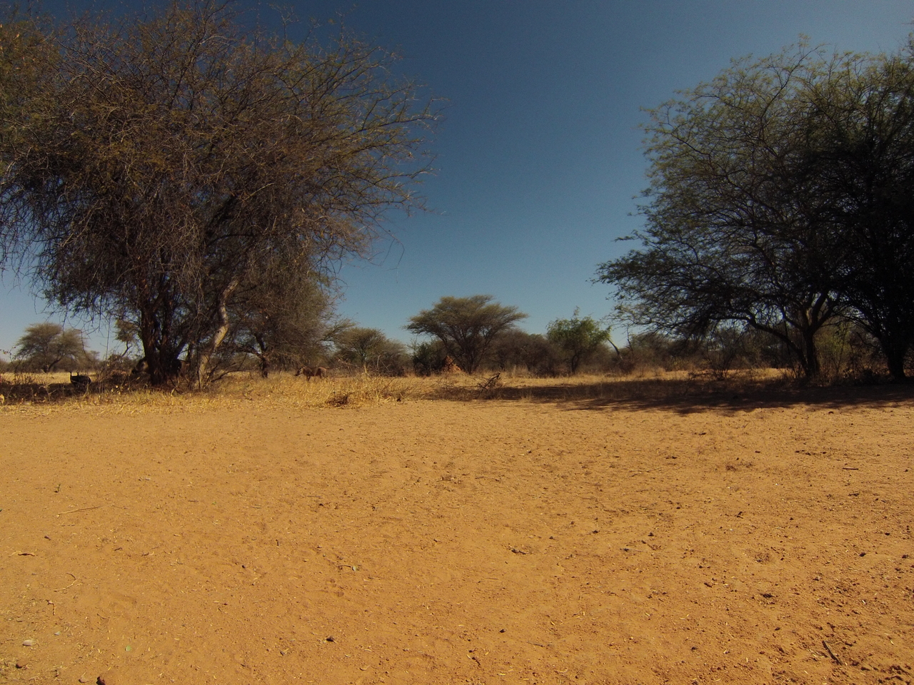 [8839] 2016_06_23_12_08_05_Africa_Hero3-Silver_Edition_IMG__00800.jpg
