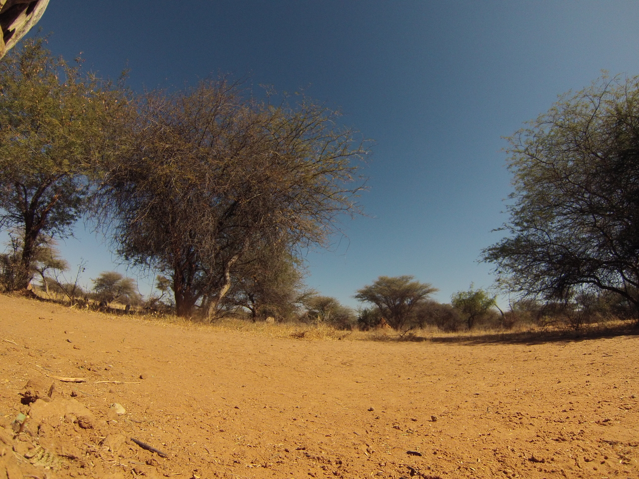 [8866] 2016_06_23_12_08_43_Africa_Hero3-Silver_Edition_IMG__00366.jpg