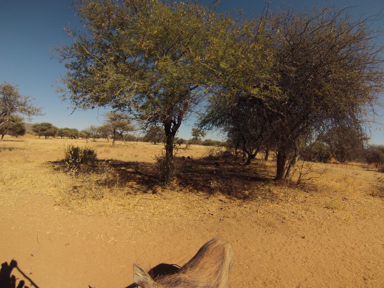 [8880] 2016_06_23_12_09_10_Africa_Hero3-Silver_Edition_IMG__00373.jpg