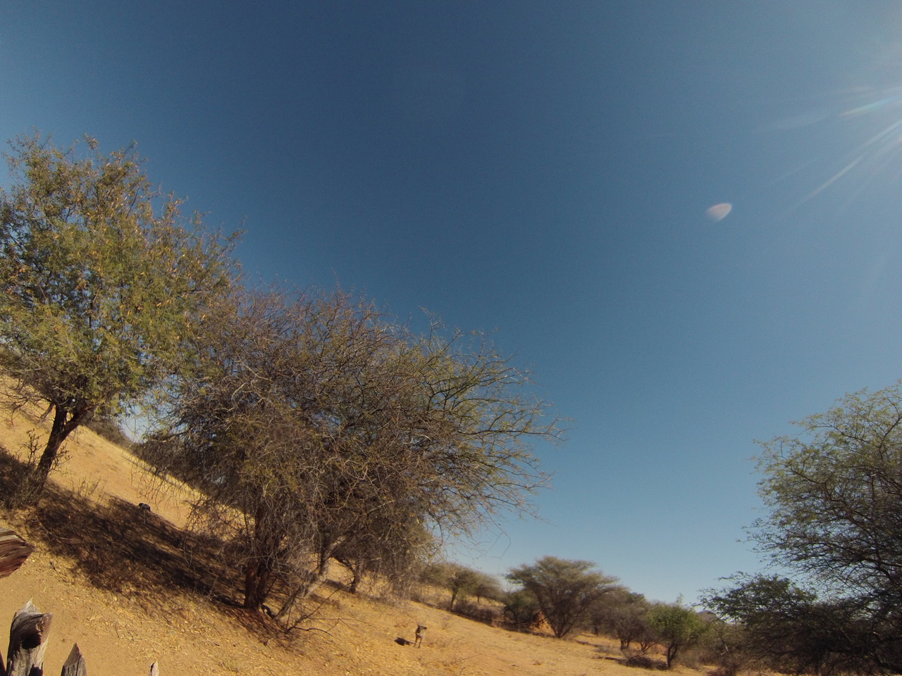 [8903] 2016_06_23_12_09_44_Africa_Hero3-Silver_Edition_IMG__00832.jpg