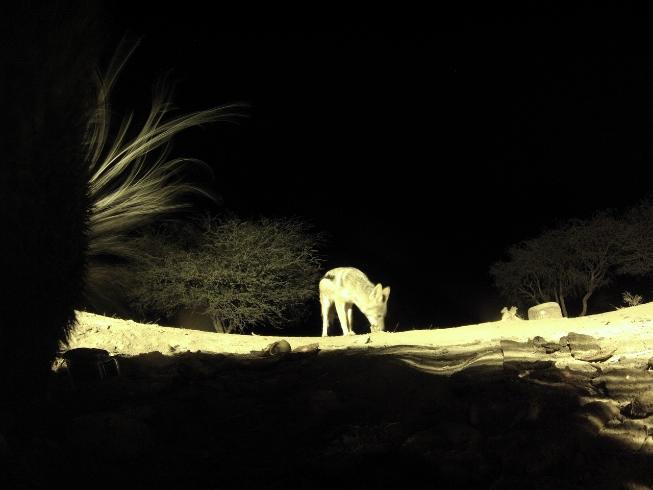 [10973] 2016_06_23_19_53_53_Africa_Hero3-Silver_Edition_IMG__00882.jpg