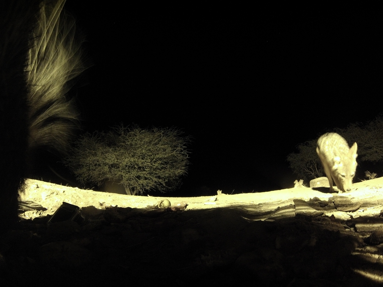 [11014] 2016_06_23_19_54_37_Africa_Hero3-Silver_Edition_IMG__01341.jpg