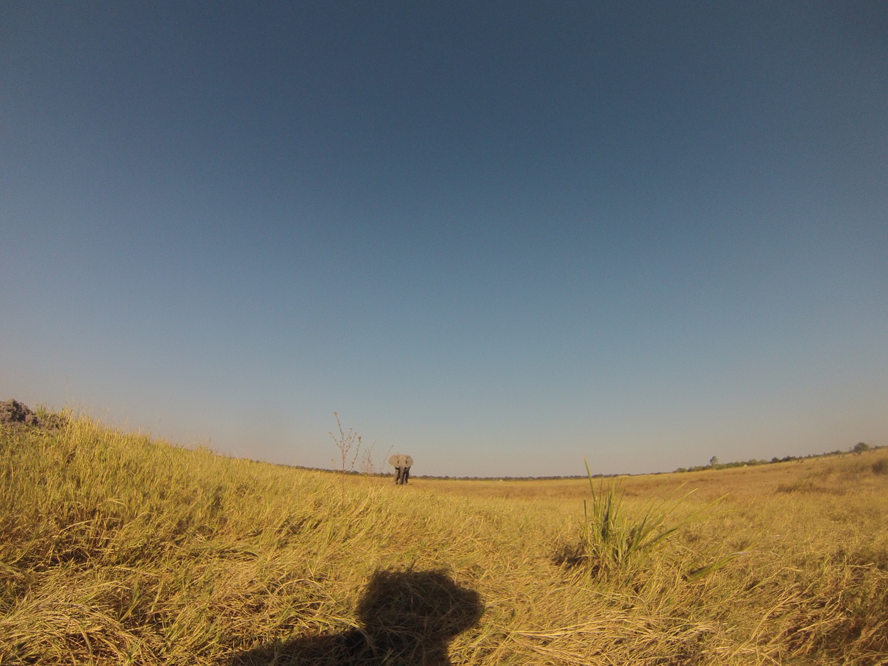 [25397] 2016_06_30_15_00_59_Africa_Hero3-Silver_Edition_IMG__01507.jpg