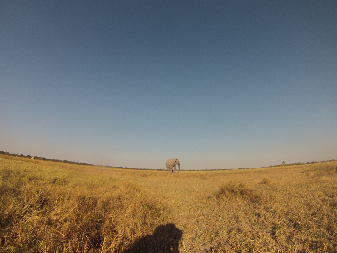 [25734] 2016_06_30_15_04_49_Africa_Hero3-Silver_Edition_IMG__02067.jpg