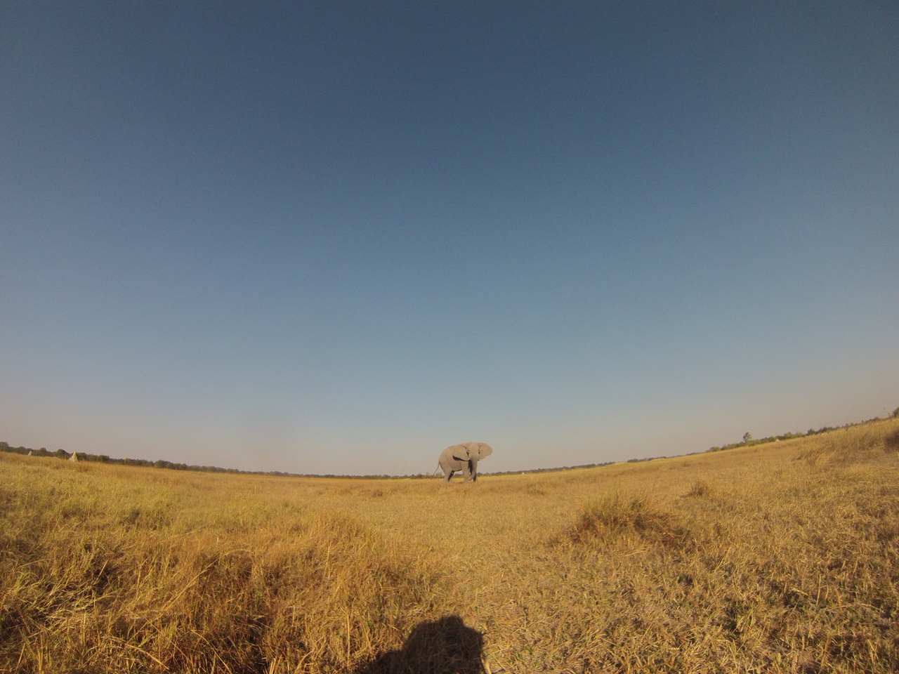 [25743] 2016_06_30_15_04_55_Africa_Hero3-Silver_Edition_IMG__02070.jpg