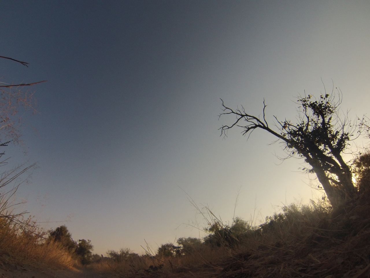 [26076] 2016_06_30_16_06_40_Africa_Hero3-Silver_Edition_IMG__01721.jpg