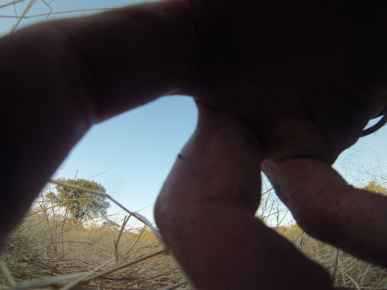 [26496] 2016_06_30_16_20_21_Africa_Hero3-Silver_Edition_IMG__01857.jpg