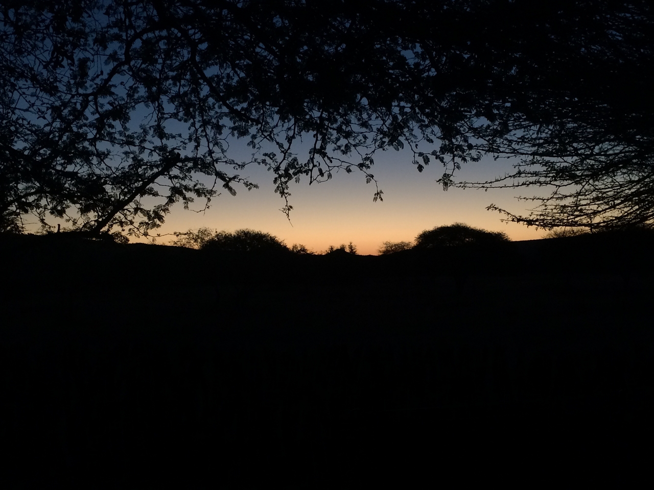 [438] 2016_06_22_01_03_26_Africa_iPhone_5s_IMG_8038_05736.jpg