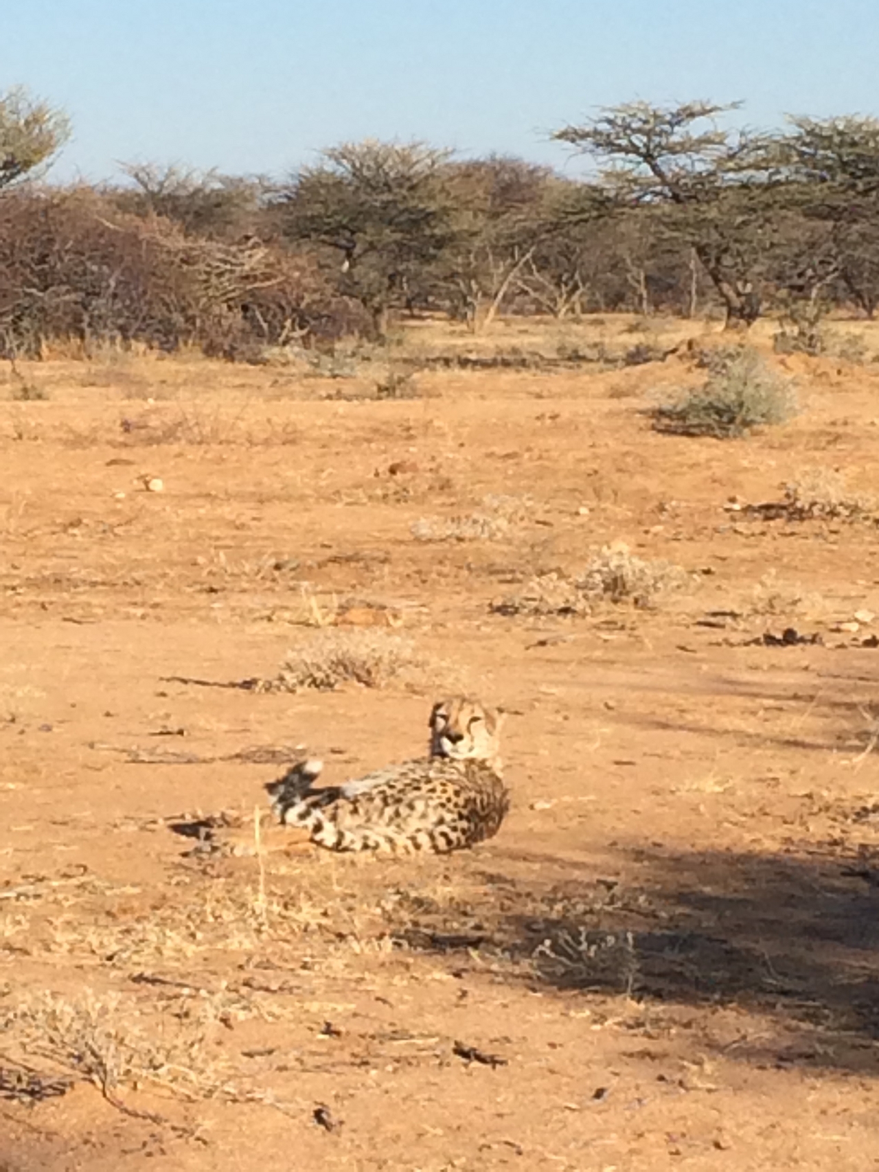 [923] 2016_06_22_02_48_50_Africa_iPhone_5s_IMG__00149.jpg