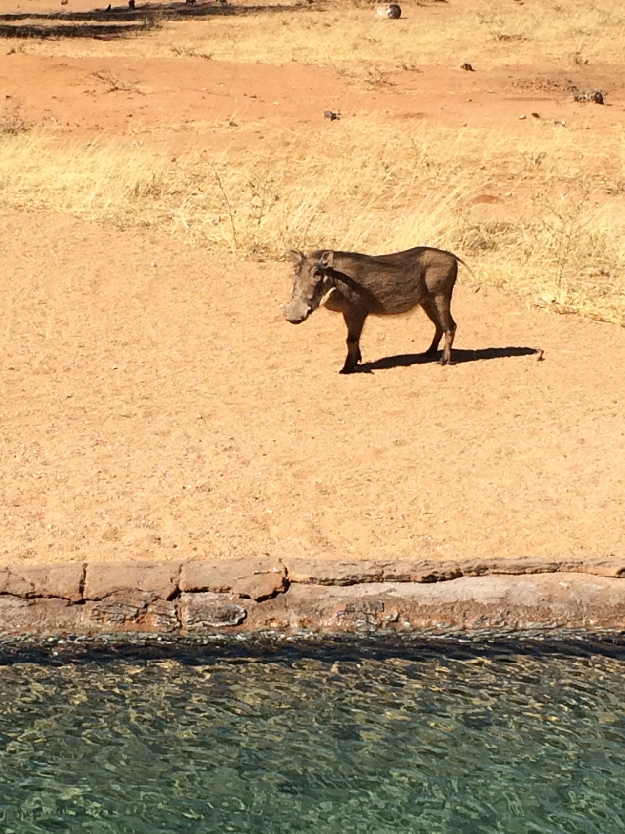 [2160] 2016_06_22_05_53_20_Africa_iPhone_5s_IMG__00177.jpg