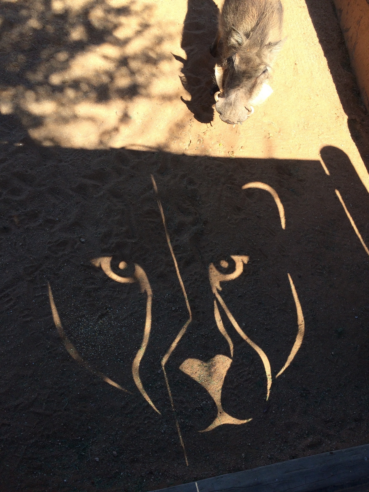 [2184] 2016_06_22_06_00_18_Africa_iPhone_5s_IMG_8074_00188.jpg