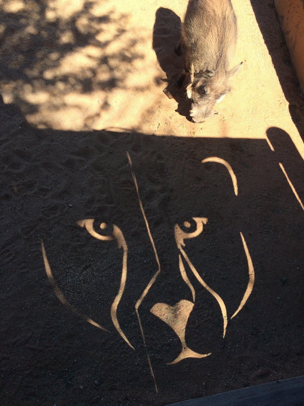 [2190] 2016_06_22_06_00_23_Africa_iPhone_5s_IMG__00191.jpg