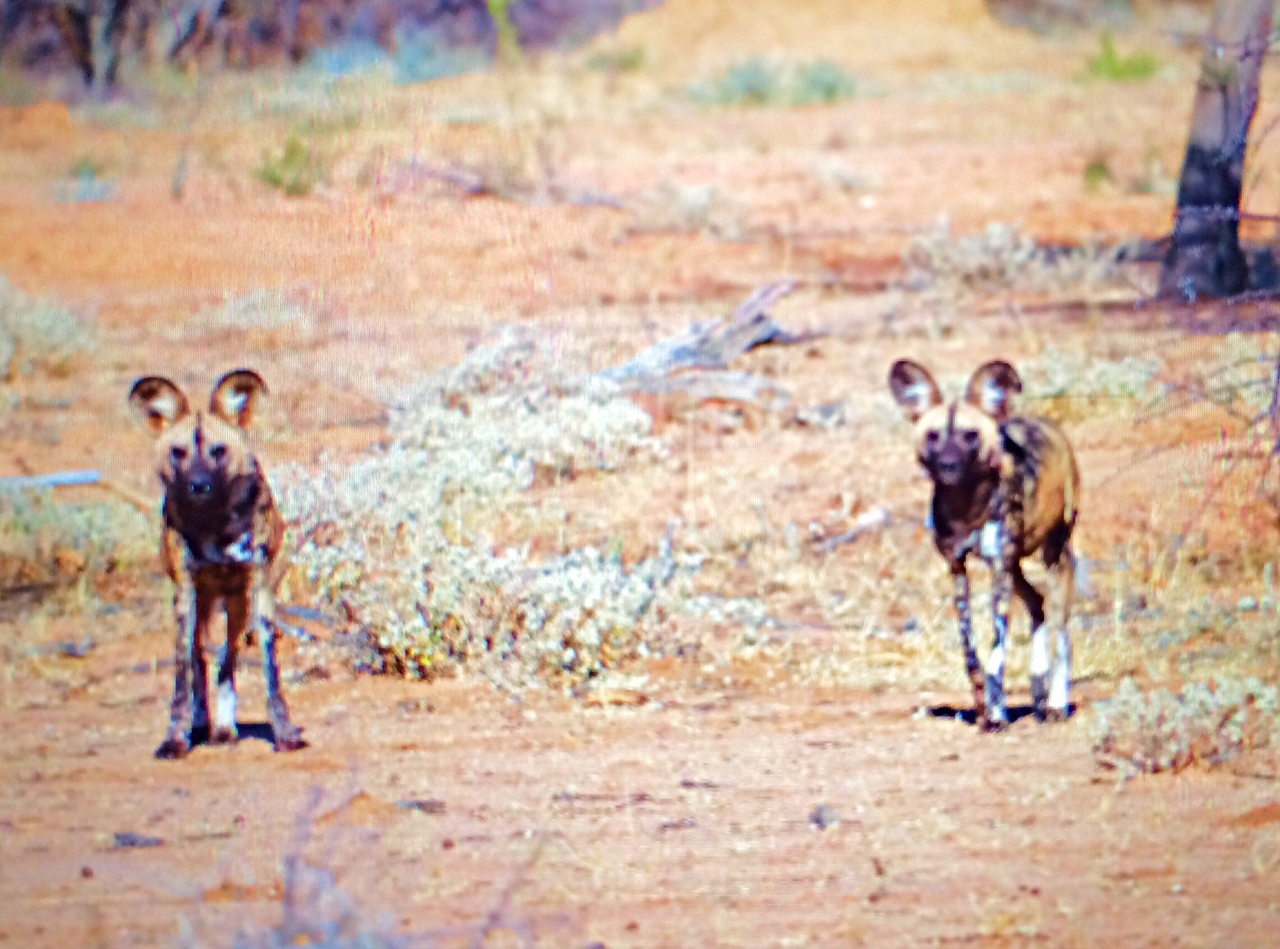 [2231] 2016_06_22_07_06_09_Africa_iPhone_5s_IMG__05819.jpg