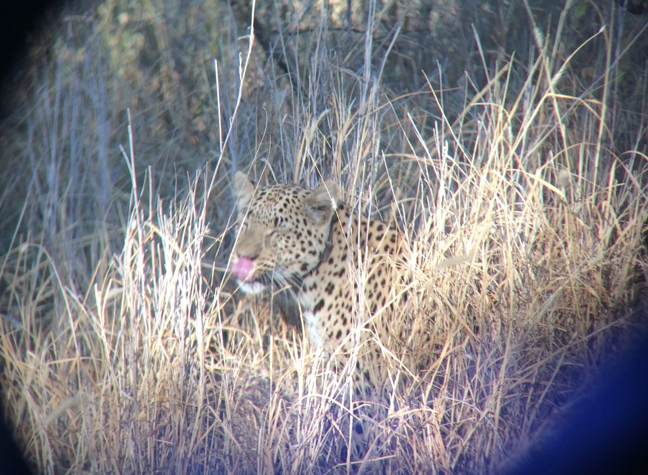 [2960] 2016_06_22_11_08_13_Africa_iPhone_5s_IMG_8091_05828.jpg