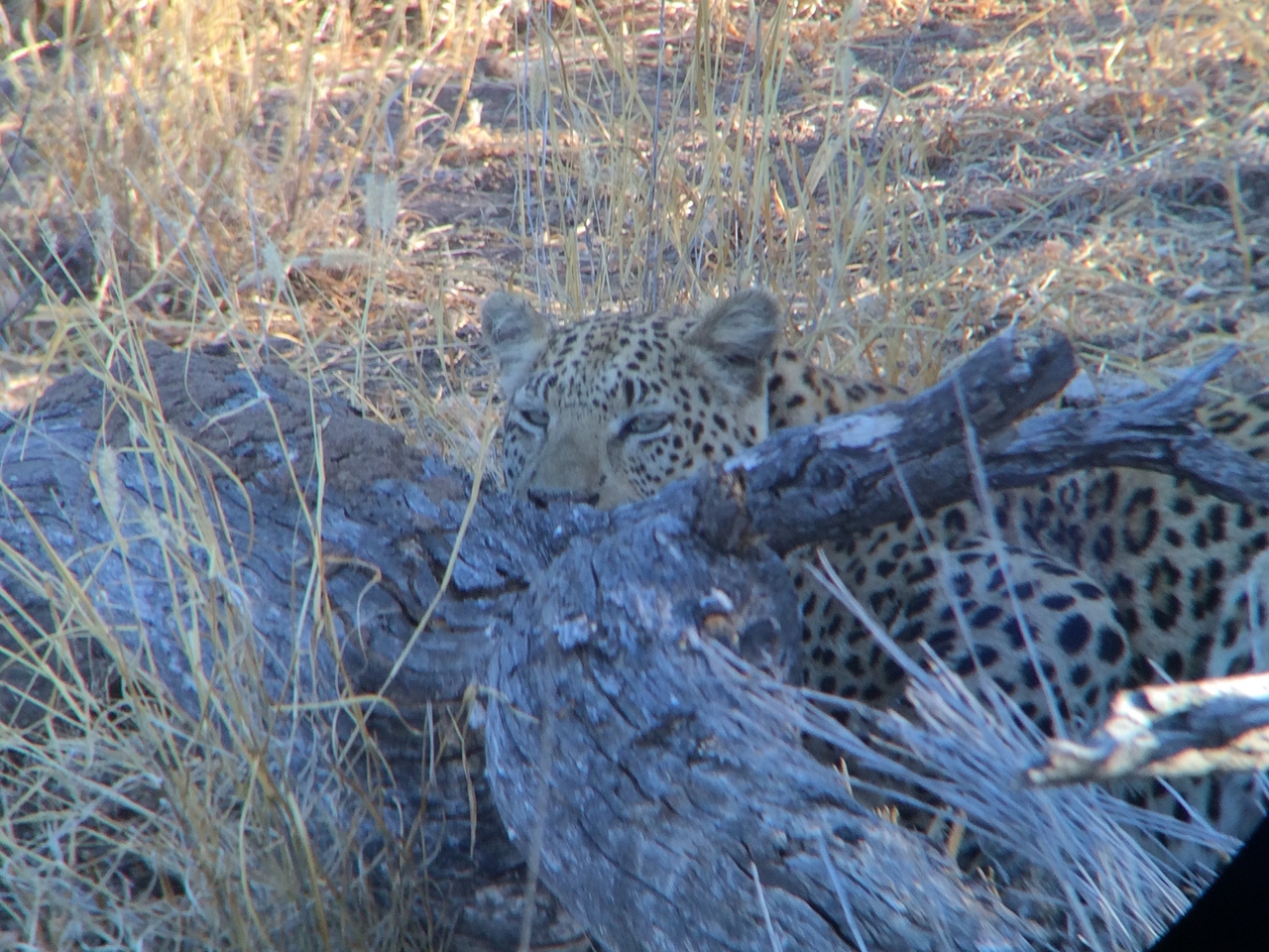 [3012] 2016_06_22_11_18_26_Africa_iPhone_5s_IMG__00219.jpg