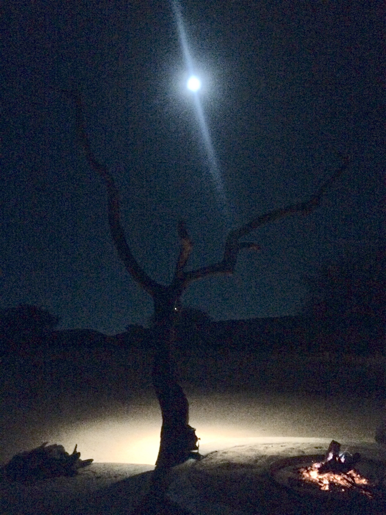 [3639] 2016_06_22_16_57_32_Africa_iPhone_5s_IMG__05853.jpg