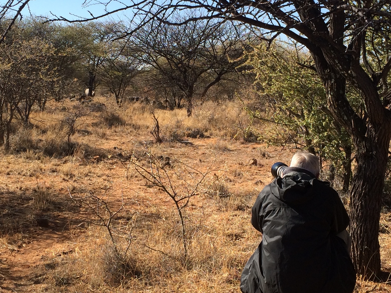 [4883] 2016_06_23_04_24_58_Africa_iPhone_5s_IMG__05891.jpg