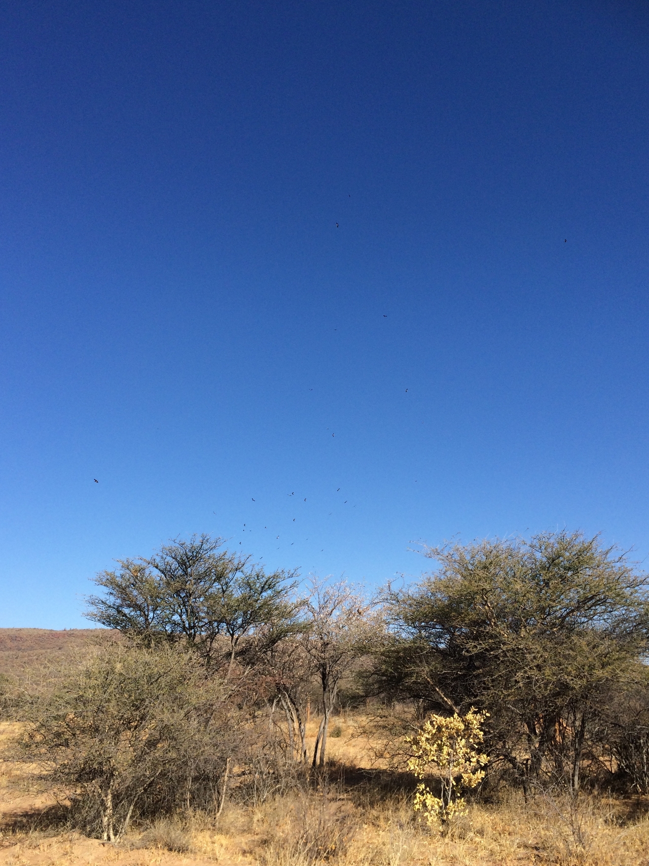 [5368] 2016_06_23_09_56_51_Africa_iPhone_5s_IMG__00297.jpg