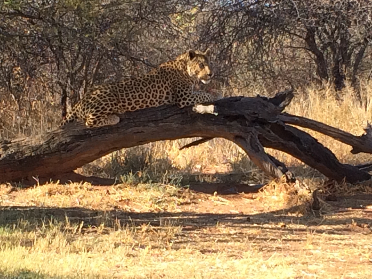 [5630] 2016_06_23_10_23_50_Africa_iPhone_5s_IMG__05927.jpg