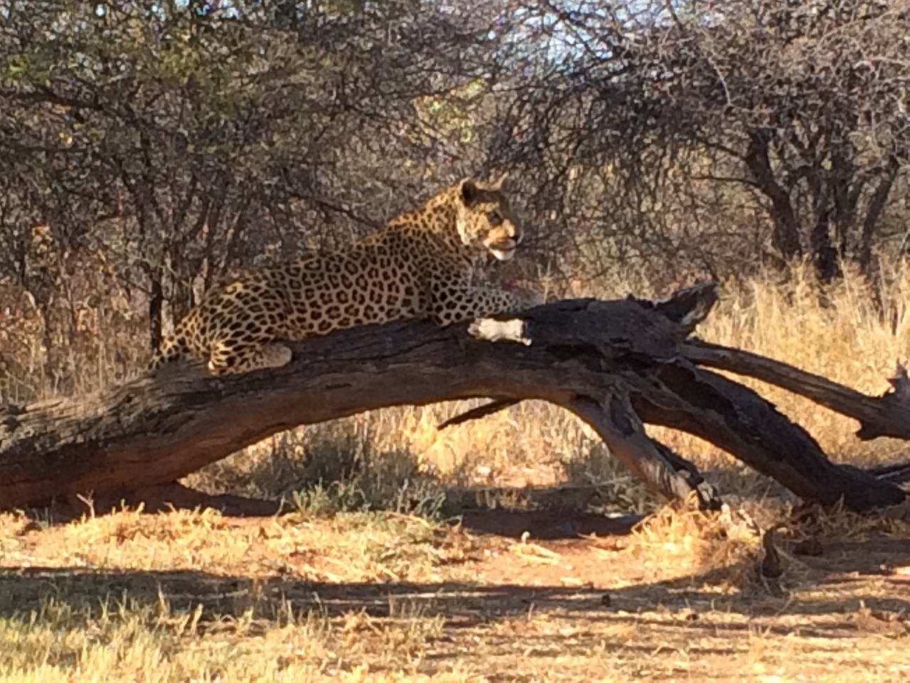 [5637] 2016_06_23_10_23_52_Africa_iPhone_5s_IMG__00317.jpg
