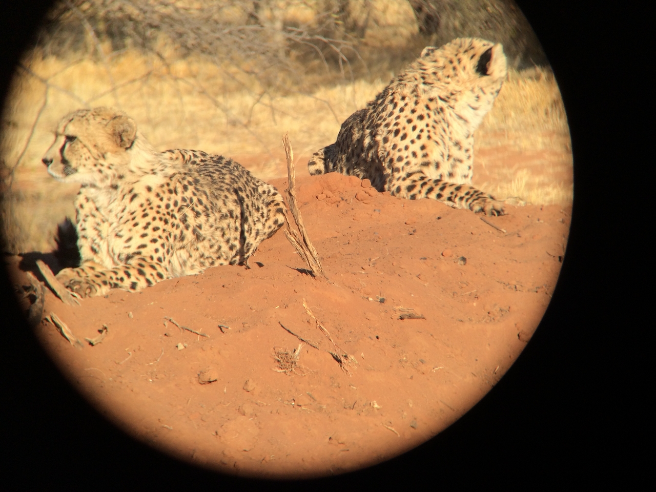 [6510] 2016_06_23_10_53_58_Africa_iPhone_5s_IMG_8190_05944.jpg