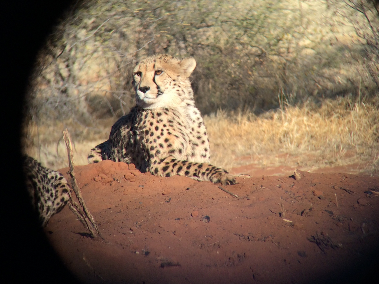 [6570] 2016_06_23_10_54_49_Africa_iPhone_5s_IMG_8191_00332.jpg
