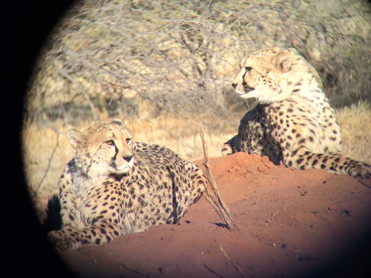 [6592] 2016_06_23_10_55_03_Africa_iPhone_5s_IMG__00337.jpg