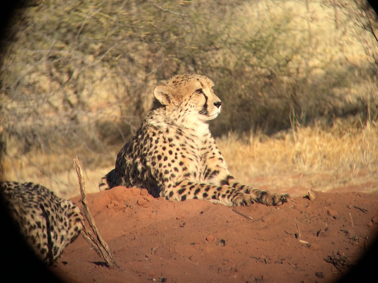 [6628] 2016_06_23_10_55_52_Africa_iPhone_5s_IMG__05955.jpg