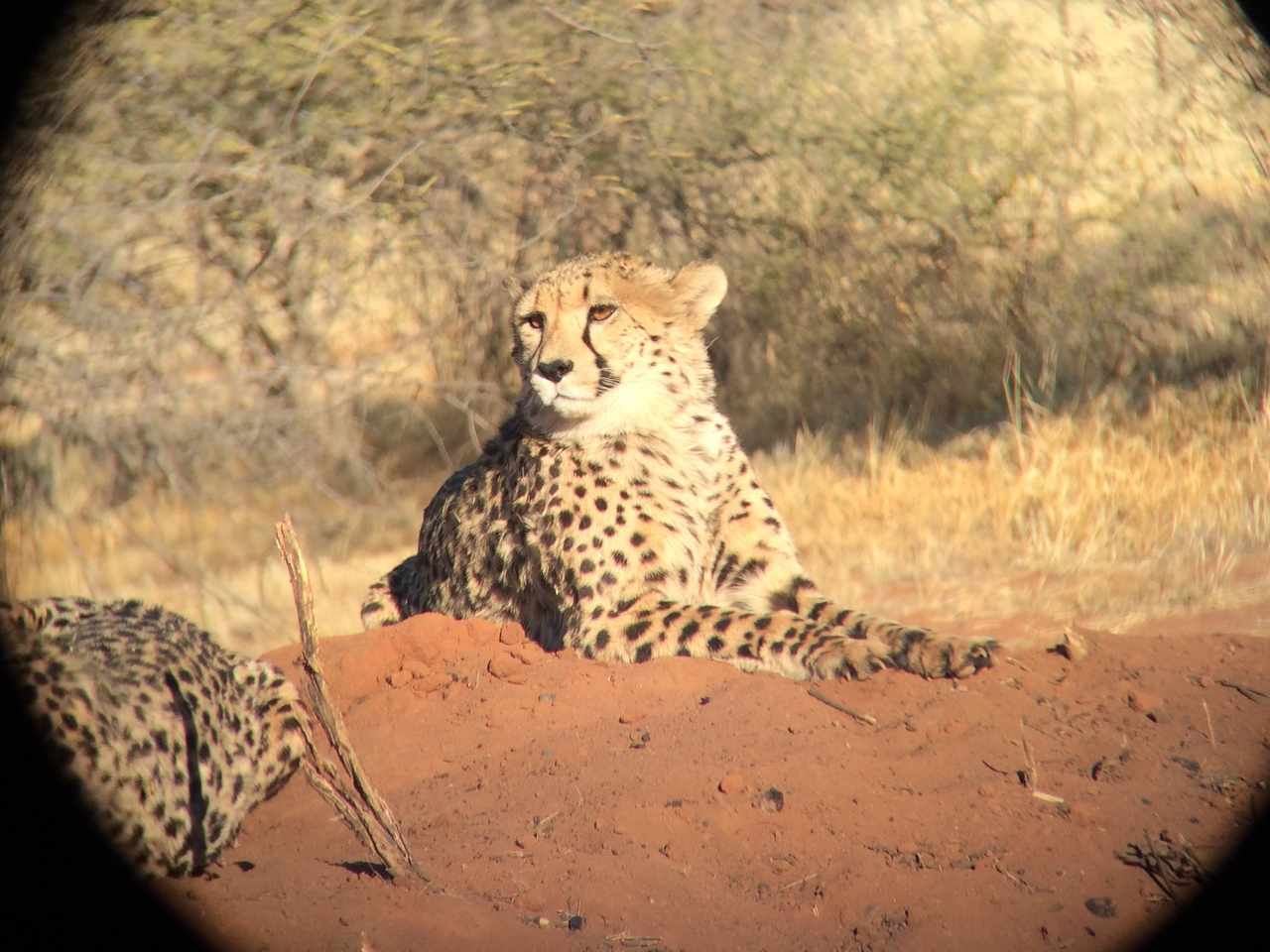 [6637] 2016_06_23_10_55_55_Africa_iPhone_5s_IMG__00343.jpg
