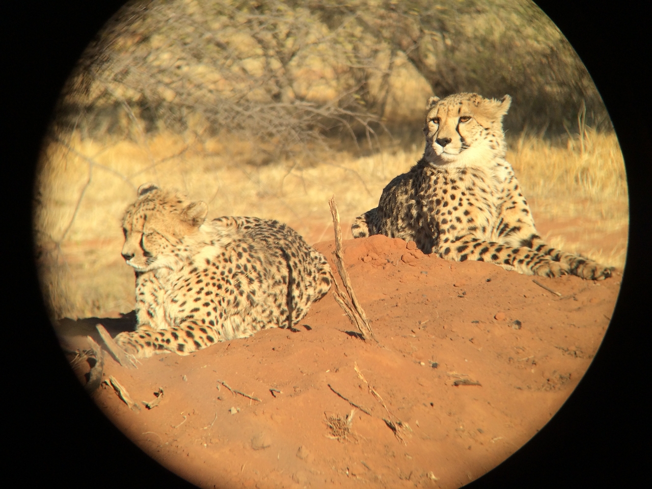 [6839] 2016_06_23_11_00_37_Africa_iPhone_5s_IMG_8207_05966.jpg