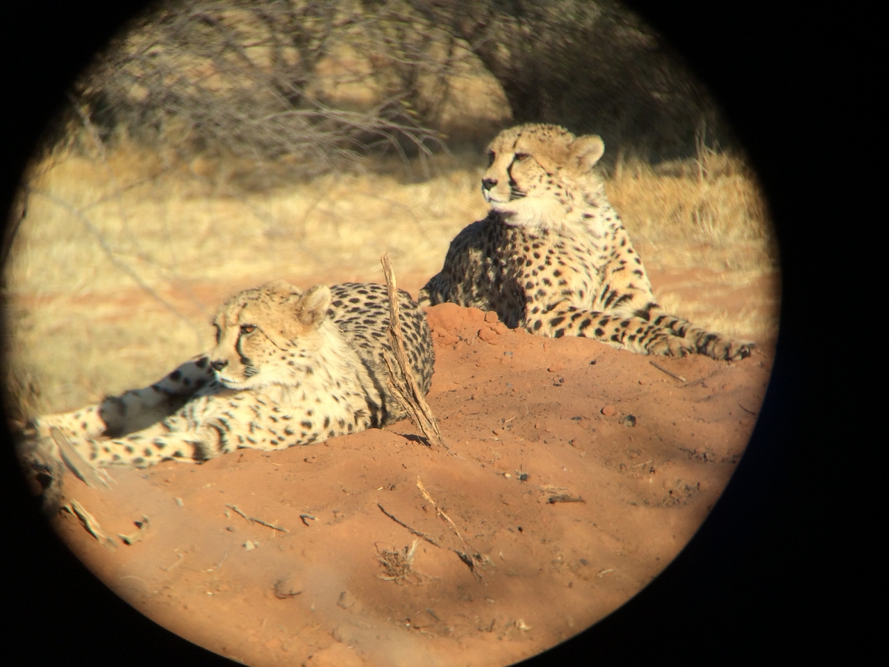 [6980] 2016_06_23_11_07_21_Africa_iPhone_5s_IMG_8210_05972.jpg